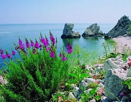 Camping Village Costa Verde Campeggio Porto Potenza Picena